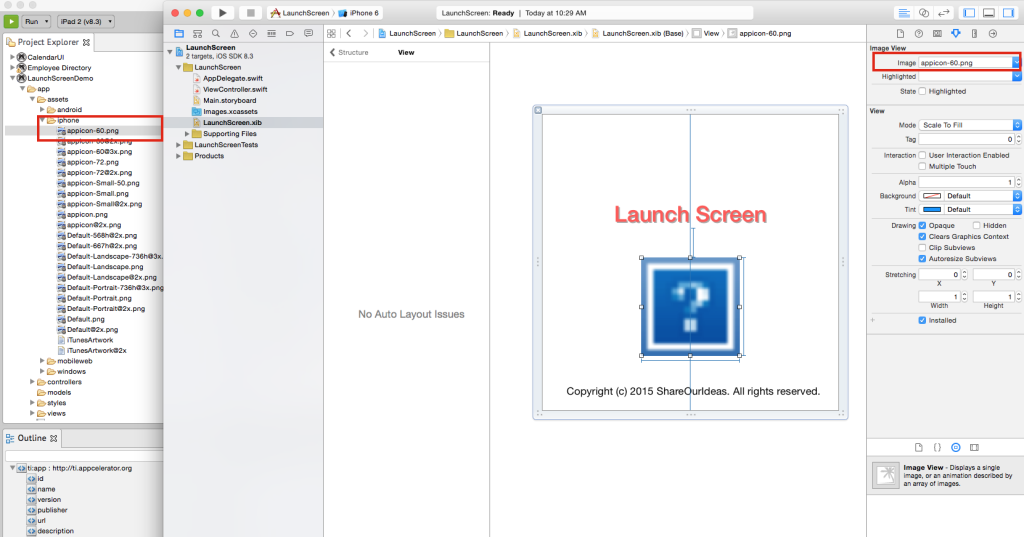 LaunchScreen With Image Xcode